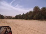 picture thumbnail